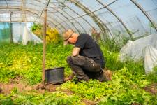 Maxence LE MÉZO - QIVI