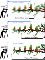 Laurence JOUIS - Photographe Laurence Jouis