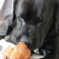 Perrine MULLER - PERIINE MULLER PHOTOGRAPHE