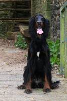 Perrine MULLER - PERIINE MULLER PHOTOGRAPHE