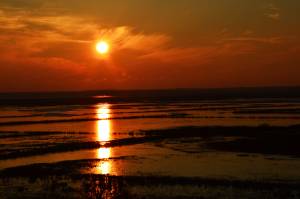 Mélissa FONDIN - MELPHOTOS